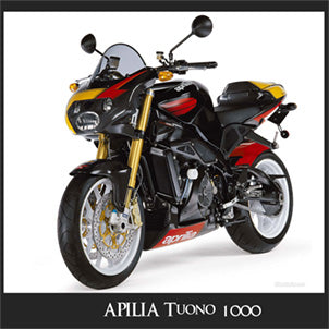 Aprilia Tuono racing